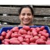 NEW SEASONS WASHED MEDIUM RED POTATOES  1.5 KG Bag Pukekohe Grown